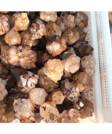 Natural Crystal Rough Natural Stone Crystal Flower Scepter Clear Quartz Cluster Backbone for Decorate 1pc - Buy Online on GoSupps.com