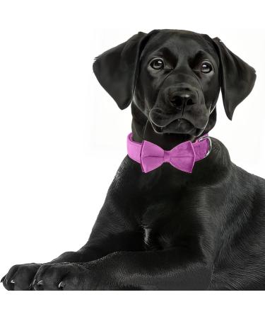 Asvin XL Rose Red Velvety Dog Collar | Soft & Comfortable Removable Dog Flying | Multi-Color for Weddings Birthdays & Parties - Buy Online on GoSupps.com