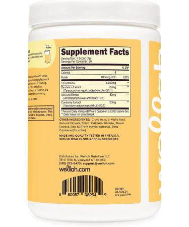 L-Glutamine Peach Mango - 50 Servings | 5g L-Glutamine Per Serving | Stevia-Sweetened | International Shipping Available - Buy Online on GoSupps.com