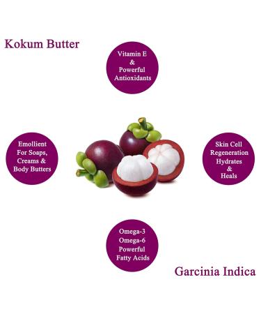 Raw Kokum Butter 16 oz - 100% Pure Natural Moisturizer for Skin Hair DIY Creams & Soaps - Food Grade Jar - Buy Online on GoSupps.com