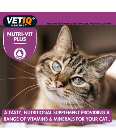 VETIQ Nutri-Vit Plus for Cats (70g) - Essential Cat Supplement for Illness Recovery and Energy Boost - Buy Online on GoSupps.com