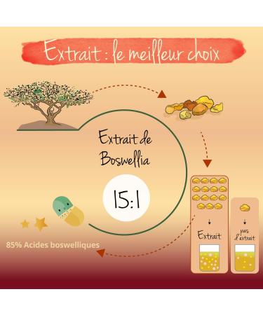 Boswellia Serrata 9450 mg | For 4 Months | 85% Boswellic Acid | Indian Incense | No Additives & Vegan | Vegavero  - Buy Online on GoSupps.com