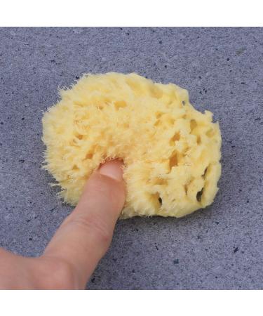Angoily Natural Sea Sponges Soft Bath Sponges Body Puff Scrubber Used in Bath Shower Cleansing Exfoliating - Buy Online on GoSupps.com