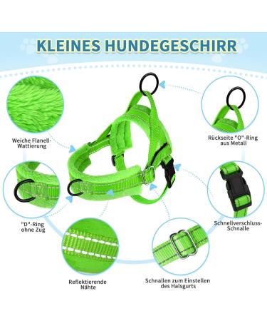 Eyein No-Pull Dog Harness with Leash - Soft Padded Reflective & Adjustable for Puppies Small & Large Dogs Cats - Green XXS - Buy Online on GoSupps.com