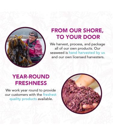 VITAMINSEA Dark Harbor Dulse Flakes 4 oz - Vegan Certified North Atlantic Seaweed - Pack of 1 - Buy Online on GoSupps.com