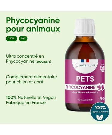 Nutrialife Blue Spirulina Phycocyanin Liquid for Dogs and Cats Pure 5000 MG/l - Energy and Resistance - Antioxidant Animal Alimentary Supplement - Organic Vegan French Culture 250 ml - Buy Online on GoSupps.com