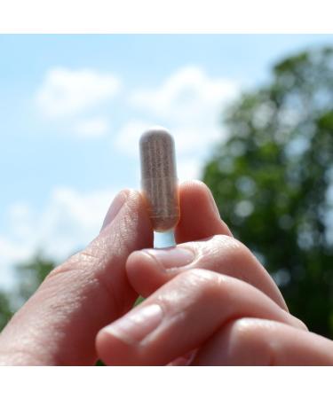 Neuroscience ImmuWell - Immune Support & Brain Supplement for Memory and Focus with Vitamin C and Zinc Vitamin D & Elderberry - Promotes Immunity Mood Energy and Cognitive Function (90 ct) 90 Count (Pack of 1) - Buy Online on GoSupps.com