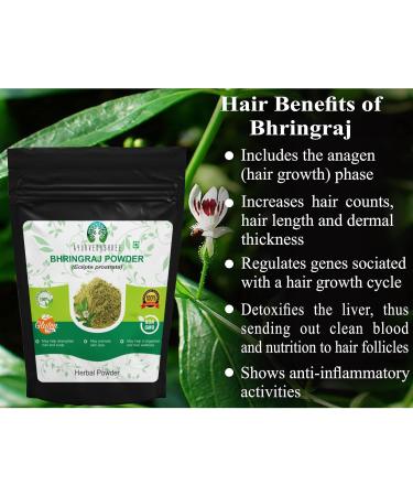 Bhringraj Powder 50g | Eclipta Alba for Healthy Hair Growth | Premium Quality | International Shipping - Buy Online on GoSupps.com