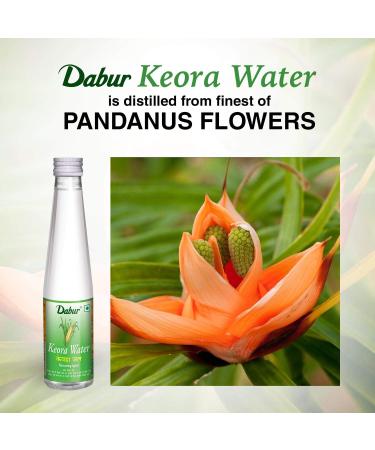 Dabur Kewra Water 250ml - Pure Kewda Essence for Skin & Hair | International Shipping Available - Buy Online on GoSupps.com