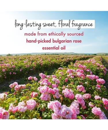 Shop Luv Beauty & Planet Murumuru Butter & Rose Body Wash - 13.5 fl oz Cr me Shower Gel for Soft Skin | International Shipping Available - Buy Online on GoSupps.com