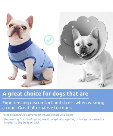 Convinite Recovery Suit for Dogs | Breathable Wound Protection After Castration | Male & Female Dog Body Suit | Adjustable Blue - Buy Online on GoSupps.com