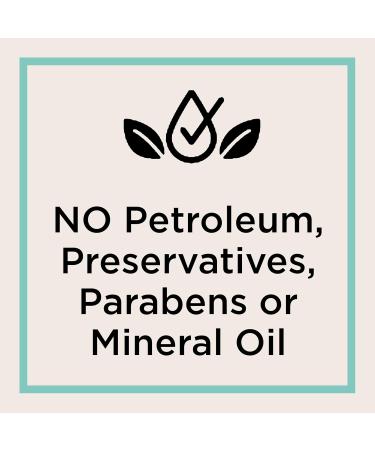 Carmex Comfort Care Lip Balm Stick with Beeswax Peppermint Lip Balm - 0.15 OZ Each 2 Count 2 Count (Pack of 1) - Buy Online on GoSupps.com