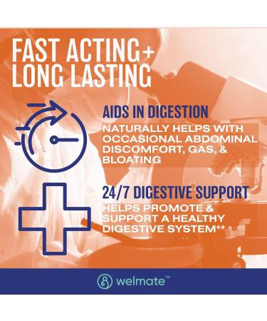 WELMATE Bifidobacterium - Probiotic Supplement - Supports Gut Health - Immune Support - Digestive Enzymes - Gluten Free - Vegan - Men & Womens Probiotic - Value Size - 200 Count - Buy Online on GoSupps.com