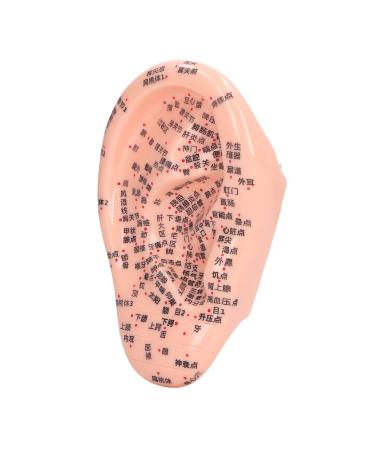 6.7 inch silicone ear acupuncture model ear zone model engraving ear massage acupuncture model for ear acupuncture point pressure point (1PC)