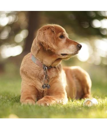 KALIONE Extra Loud Dog & Cat Collar Bell Copper Bells with Snap Clips for Dog Collars Dog Collar Charm Pendant Bells for Small Medium Dogs Cats Pets Tracking - Buy Online on GoSupps.com