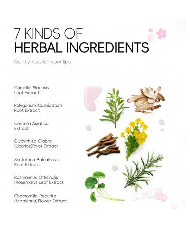 Long Lasting Overnight Lip Mask for Women Girls Hydrating Lip Balm Moisturizing Smoothing Lightweight Non Greasy Daily Lip Care Pink One Size One Size Pink - Buy Online on GoSupps.com