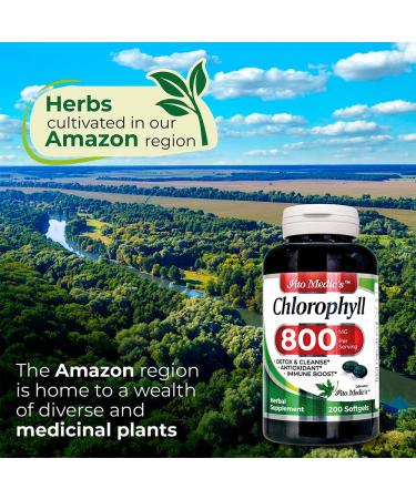 FITO MEDIC'S Lab 800mg Chlorophyll Softgels- Detox Cleanse Greens Supplement - Buy Online on GoSupps.com
