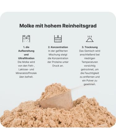 Vilgain Lactose Free Whey Protein Powder 1000g - Blueberry | High Quality Low Temperature Ultrafiltration Sweetened with Stevia for Fitness - Buy Online on GoSupps.com