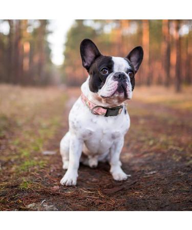 Heele Adjustable Dog Collar - Comfortable Patterned Collars for Small to Large Dogs - Pink 40.5-65cm - Durable & Stylish Pet Accessory - Buy Online on GoSupps.com