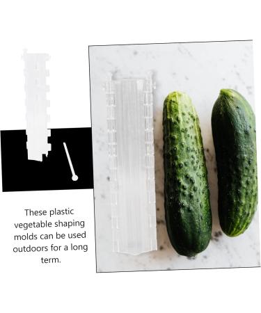 BCOATH 2pcs Melon and Fruit Shaping Mold Vegetables Pumpkin Shaping Mold Vegetable Growing Moulds Shaper - Buy Online on GoSupps.com