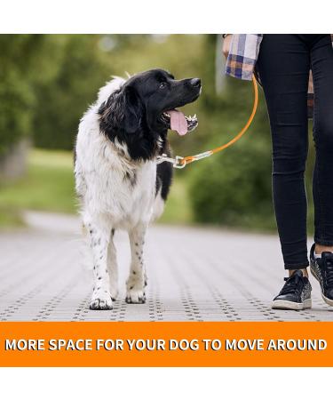 15m Orange Tie Out Leash for Medium to Large Dogs - Durable Dog Yard Cable for Safe Outdoor Play | International Shipping Available - Buy Online on GoSupps.com