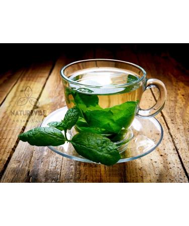 Naturevibe Botanicals Mint Powder 8oz - Pure and Refreshing Flavor Enhancer - Buy Online on GoSupps.com