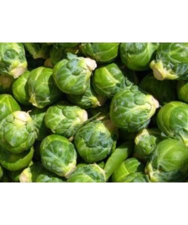 10+ "Long Island Improved" Brussels semi -Family Favorite Sweets