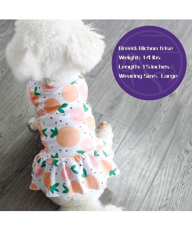 Cyeollo Lightweight Fruit Pattern Dog Dress for Small Dogs | Soft Breathable Pet Clothes for Spring & Summer - Buy Online on GoSupps.com