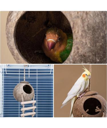 Aobuviou Gecko Coconut Husk Hut Coconut Bird Nest Reptile Coconut Hide with Ladder Natural Reptile Hideouts Bird Coconut Shell Coconut Hide for Reptiles Bird Small Animal - Buy Online on GoSupps.com