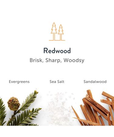 Harry's Men's Aluminum-Free Deodorant Variety Pack - 3 Count (Stone, Shiso, Redwood) - Odor Control - Buy Online on GoSupps.com