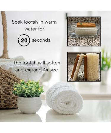 Natural Loofah Scrubber Head Refill - Bamboo Exfoliating Sponge (2 Pack) for Invigorating Shower Experience | Eco-Friendly Body Care - Buy Online on GoSupps.com
