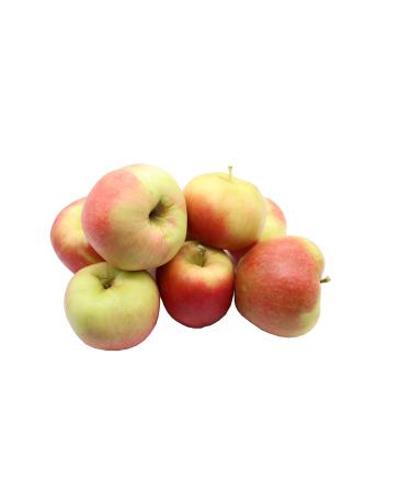 Bleichhof Bleichhof Apples Mairac - firm and sweet and sour variety of Palatinate (3 kg) New harvest