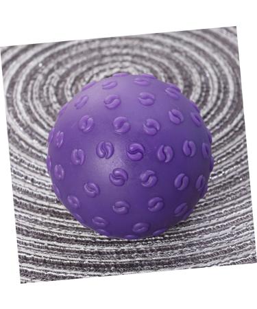 Frcolor Balance Ball 2-Pack - Yoga Back Massage & Fitness Exercise Balls for Home & Gym - Violet Gynatics Hand Balance Ball - Buy Online on GoSupps.com