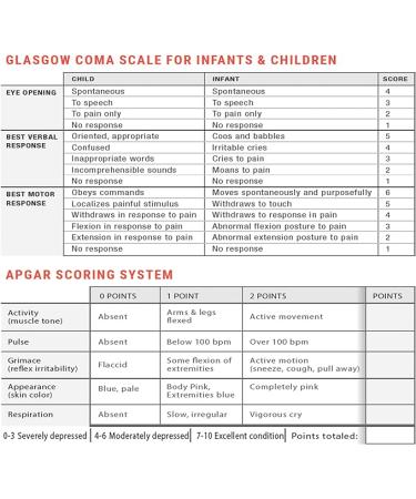 2024 Updated PALS Dose By Growth Pediatric Length-Based Tape - Broselow Compatible Color Zones for Paramedics  Nurses & EMS - Buy Online on GoSupps.com