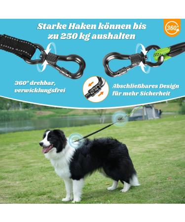 Buy Aystkniet Shock-Absorbing Bungee Dog Leash | 3m 5m 10m 15m 20m 30m Options | Padded Handle & Reflective Threads | Lockable Hook for Medium & Large Dogs - Buy Online on GoSupps.com