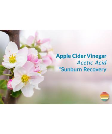 Sol-Aid 100% Natural ACV Sunburn Care Spray - Aloe-Free 8oz for Skin Relief After Sunburn - Buy Online on GoSupps.com