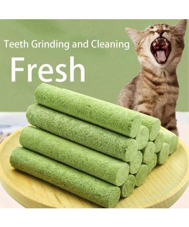 Cat Grass Teething Stick Cat Grass Teething Stick Hairballs Cat Grass Teething Sticks for Indoor Cats Cat Teeth Cleaning Cat Grass Stick for Cadental Care Increase Appetite (18pcs) - Buy Online on GoSupps.com