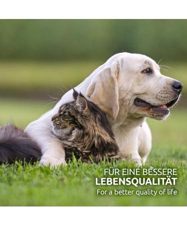 AniForte Vermin-Ex Spray 500ml | Eco-Friendly Insect & Vermin Control for Home Dogs & Cats - Effective Against Mosquitoes Mites Lice & Bed Bugs - Buy Online on GoSupps.com