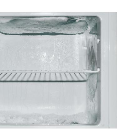 Errecom Axe Ice Remover Cleaner and Defroster for Freezers and Refrigerators 1 L bottle - Buy Online on GoSupps.com