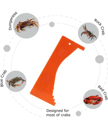 AirFly Crab Gauge - Accurately Measure Dungeness & Rock Crabs - Convex Design - Buy Online on GoSupps.com