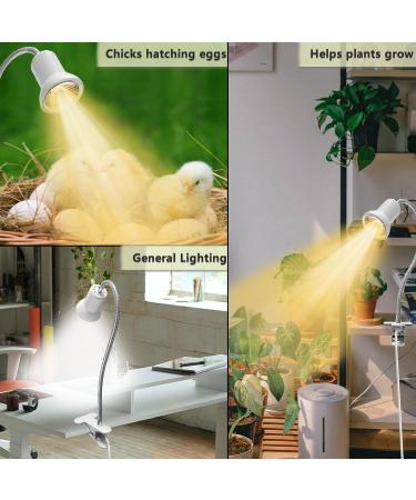 Shengruili Turtle Heat Lamp 25W & 50W - Optimal Reptile Lighting for Turtles & Terrariums | C-Green - Buy Online on GoSupps.com
