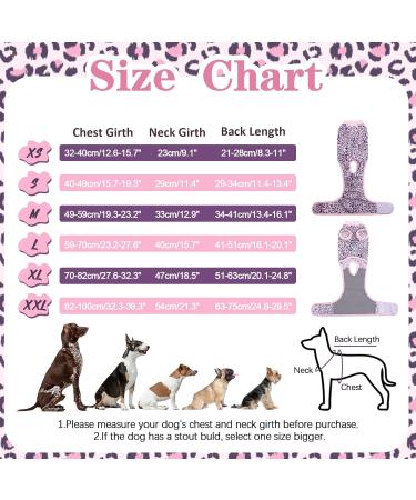 Kuoser Dog Recovery Suit | Post-Op Body for Dogs & Cats | Breathable Anti-Lick Surgical Vest for Male & Female Pets - Buy Online on GoSupps.com