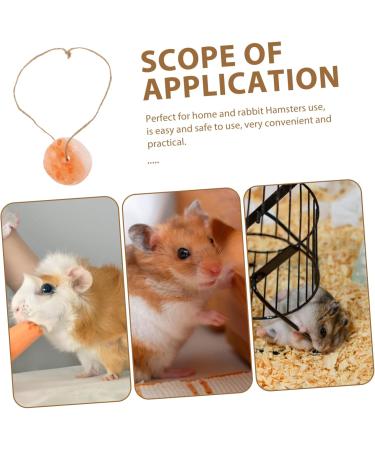 Happyyami Pet Salt Block Small Pets Lick Salt Hanging Rabbit Salt Food Nutrition Hamster Animals Salt Hanging Salt Blocks Rabbit Food Rabbit Supplies Rabbit Salt Supply Salt Licking Brick - Buy Online on GoSupps.com
