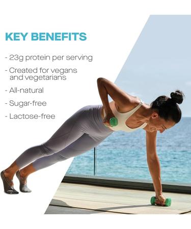 Myprotein Micellar Casein Protein Powder 2.2lb | Gluten-Free  Low Sugar & Fat | Supports Overnight Muscle Recovery & Performance | Slow Digesting | Chocolate Flavor - Buy Online on GoSupps.com