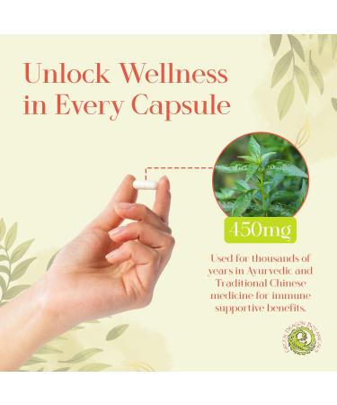 Andrographis Capsules (Andrographis paniculata) Herb 450 mg 100 Capsules Made in USA - Cold Prevention And Immune Support Supplements - Organic Non-GMO Gluten-free Vegetarian GMP Standards - Buy Online on GoSupps.com