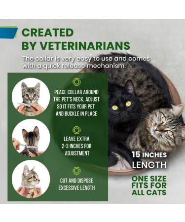 JBL Detoxol 2515700 - Instant Detoxifier for Healthy Aquarium Water | 250 ml | International Shipping Available - Buy Online on GoSupps.com