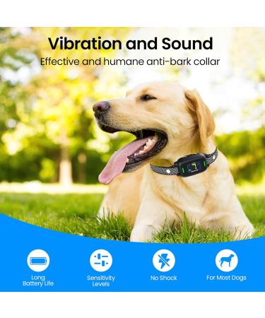 Rechargeable Anti Bark Collar for Dogs | 7 Sensitivities Vibration & Beep | Stop Barking Deterrent | 22-110lbs | Black - Buy Online on GoSupps.com