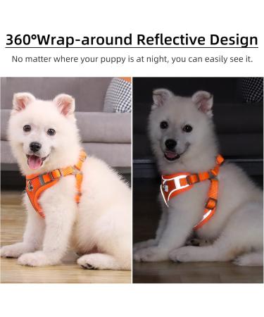 Rennaio No Pull Dog Harness & Leash Set - Adjustable Breathable Padded for Small & Medium Dogs - Pumpkin Color (M) - Buy Online on GoSupps.com
