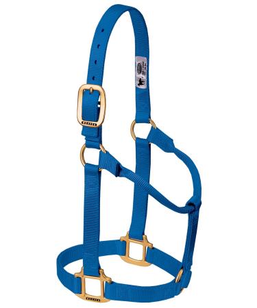 WEAVER Leather Non-adjustable Halter Blue Weanling/Pony