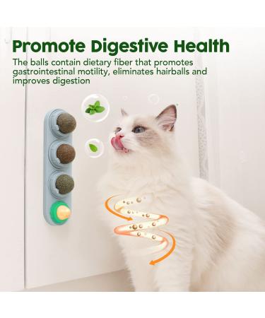 Potaroma 4 Pack Catnip & Silvervine Wall Balls - Edible, Safe, Healthy Chew Toys for Cats | Teeth Cleaning Dental Cat Ball Toy | Cat Wall Treats Board Included - Buy Online on GoSupps.com